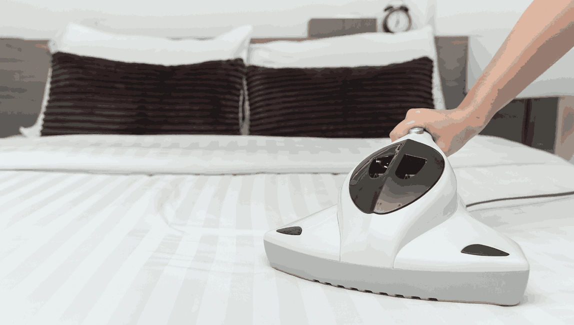 Professional Mattress Cleaning Ashburton